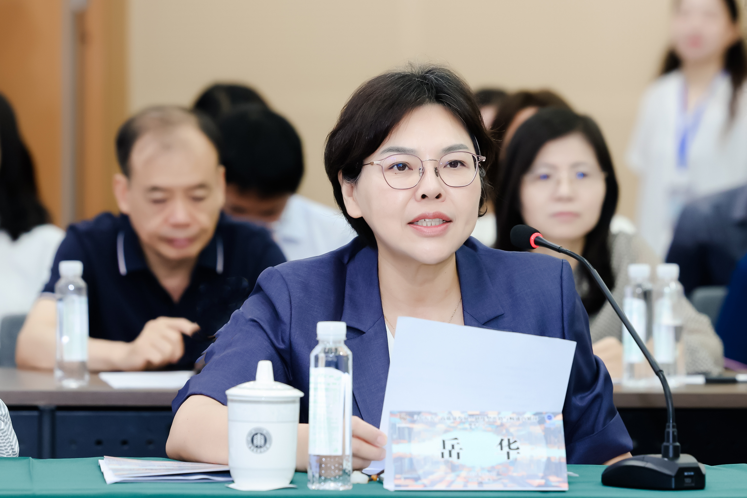 岳华.jpg
